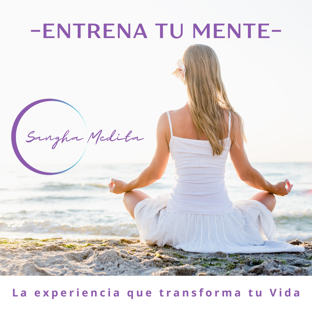 Entrena tu mente con meditación y mindfullness